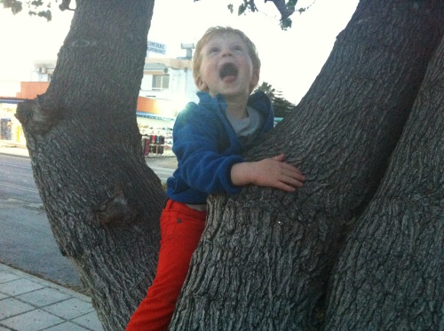 Vi går alltid en liten tur etter middag. Magnus har lært seg å klatre i trær her nede, og vil gjerne opp i hvert eneste lille (og store) tre vi ser. Blid gutt da :-)